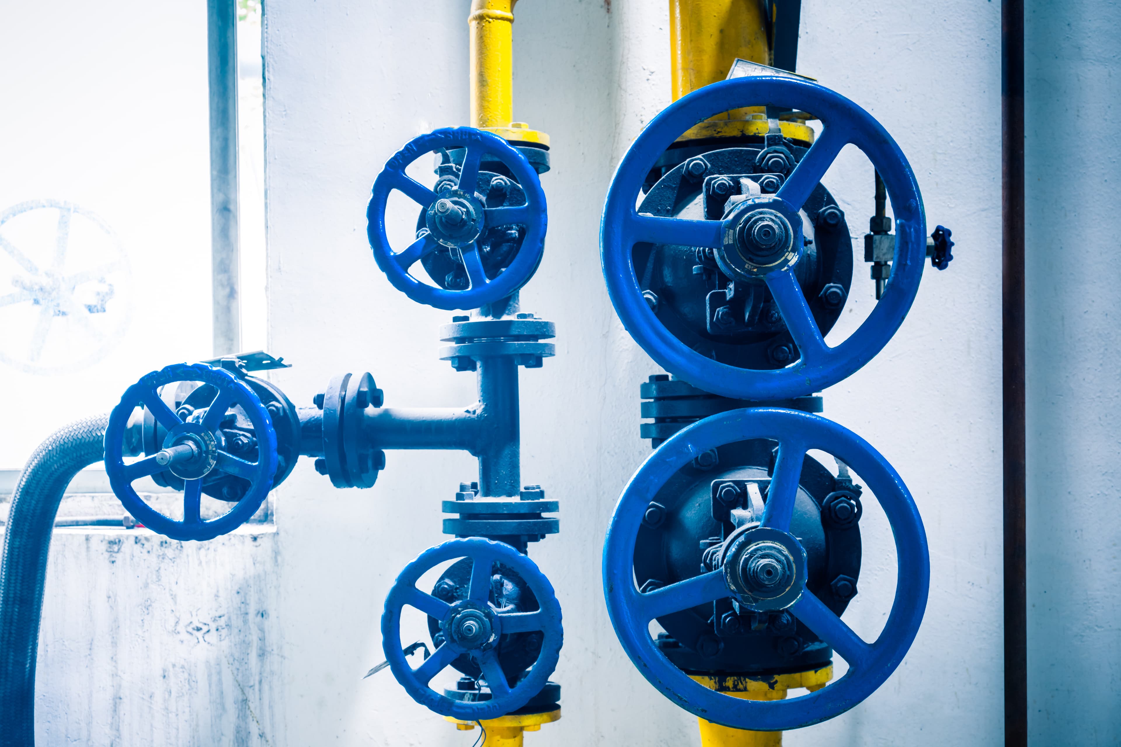 Blue industrial valves and fittings